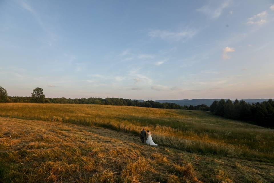 Wren's Roost Barn