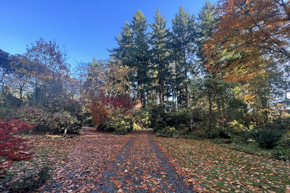 Fall in the Gardens