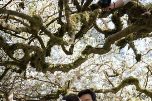 Elopement