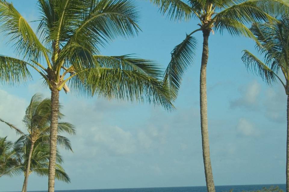 Beach wedding decor detail and views at Grand Hyatt Kauai Resort & Spa.