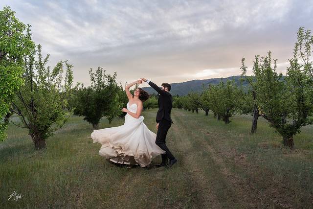 Apple Orchard