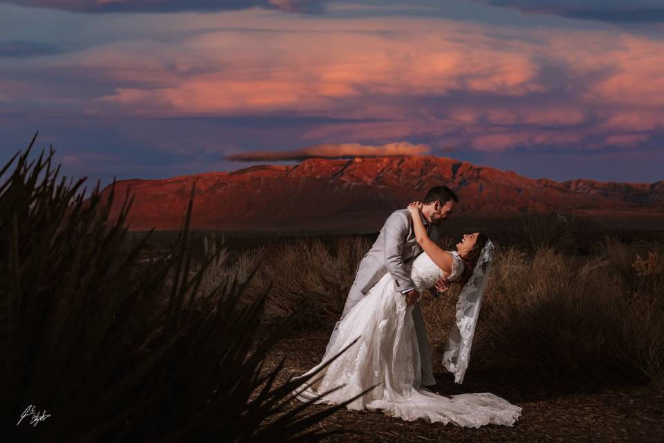 Ponic Photography LLC