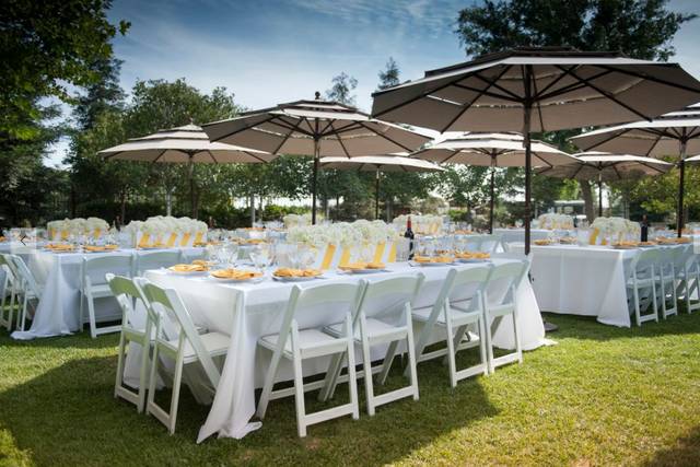 Table setting