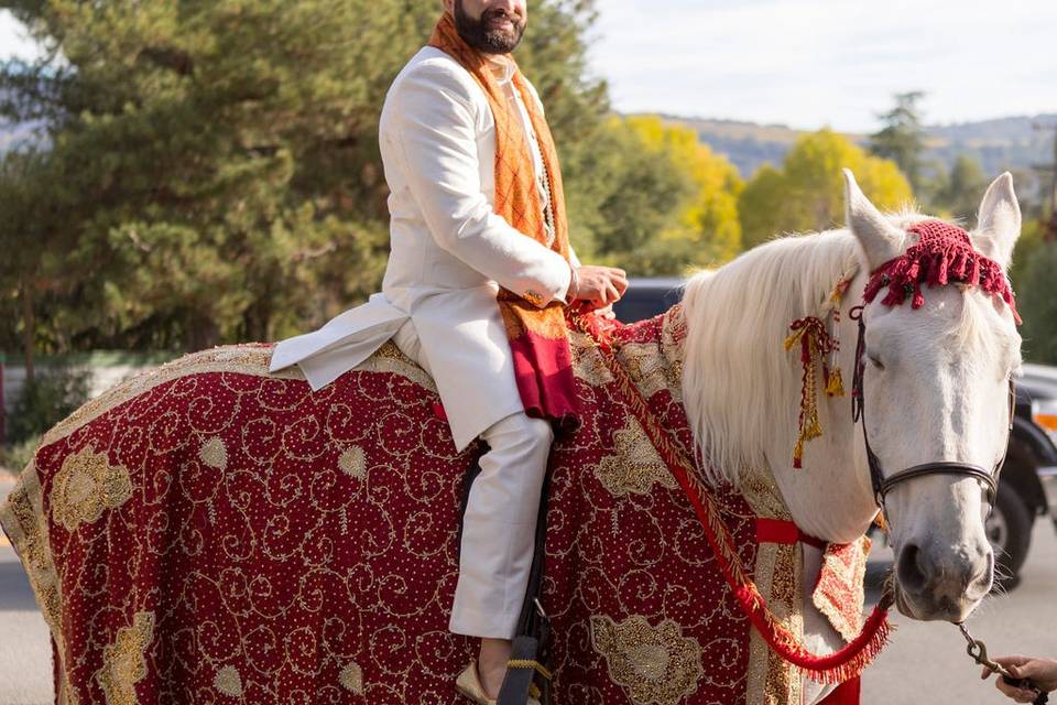 Groom Baraat