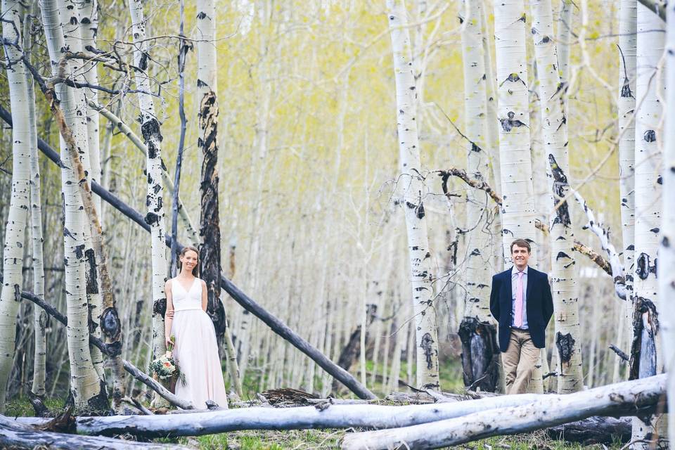 Aspens in May - Timber Moose Lodge