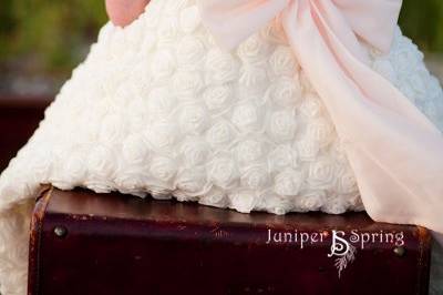 Juniper Spring Photography