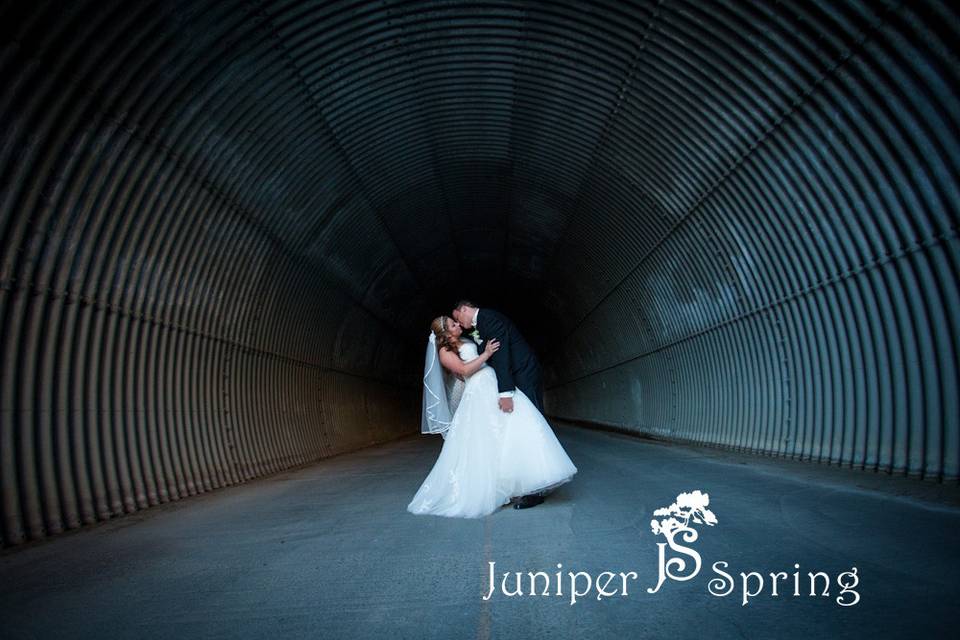 Juniper Spring Photography