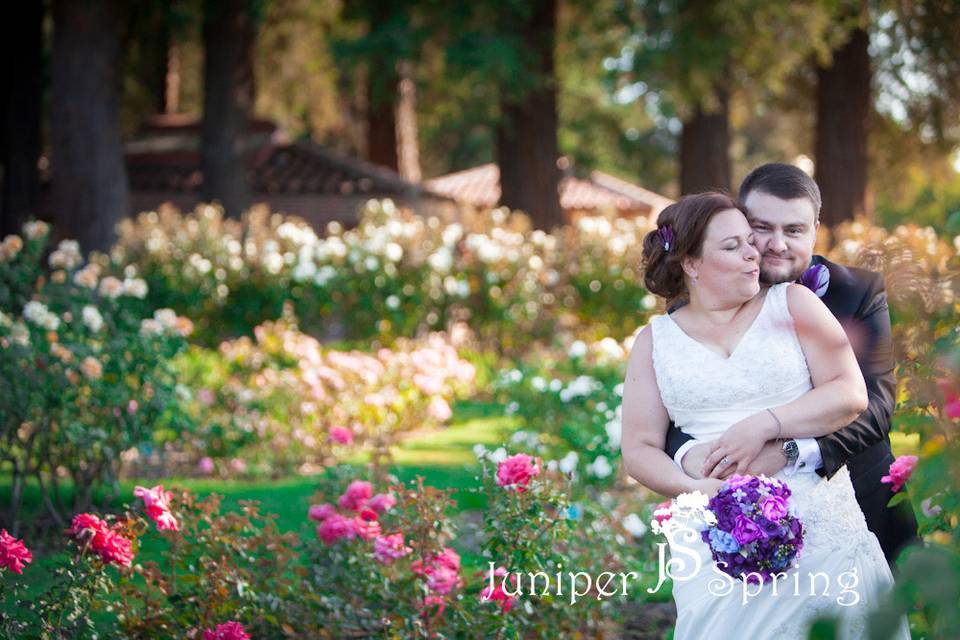 Juniper Spring Photography