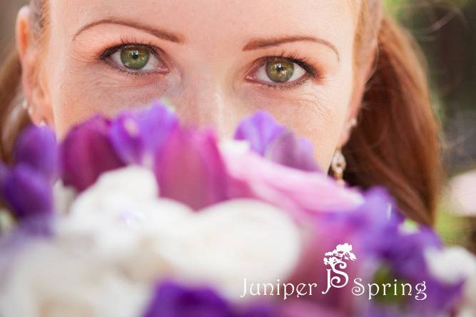 Juniper Spring Photography