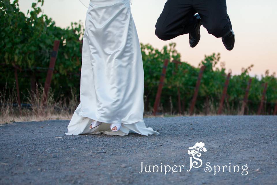 Juniper Spring Photography