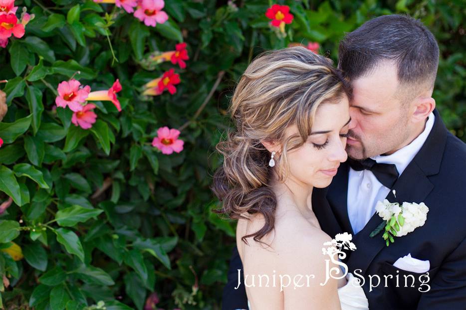 Juniper Spring Photography