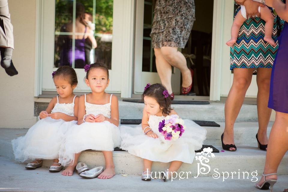 Juniper Spring Photography