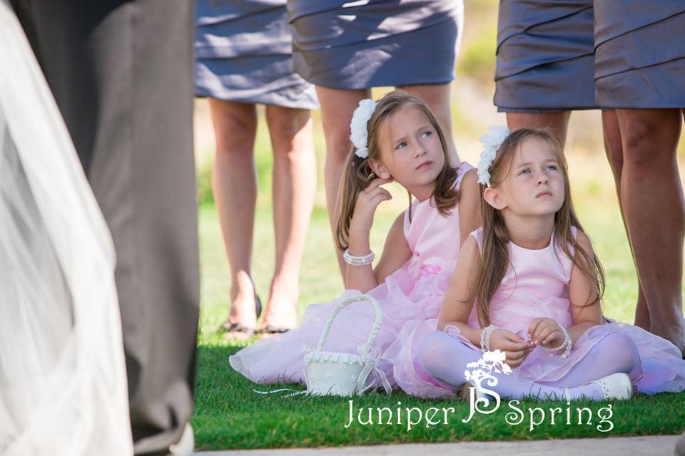 Juniper Spring Photography