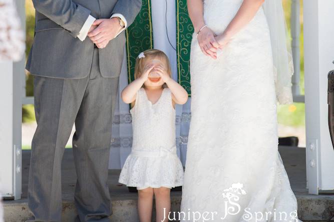 Juniper Spring Photography