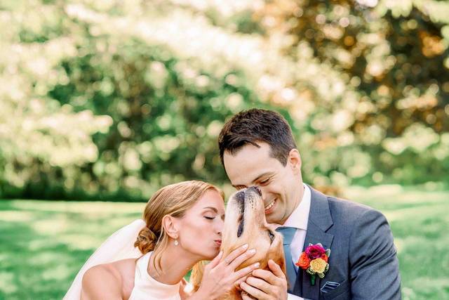 Wedding Day