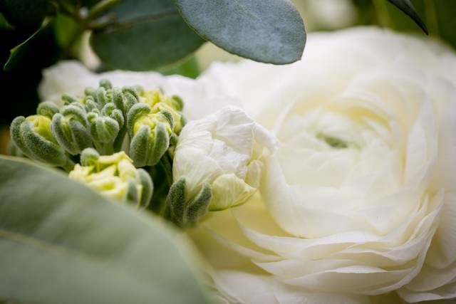 Creekside Wedding