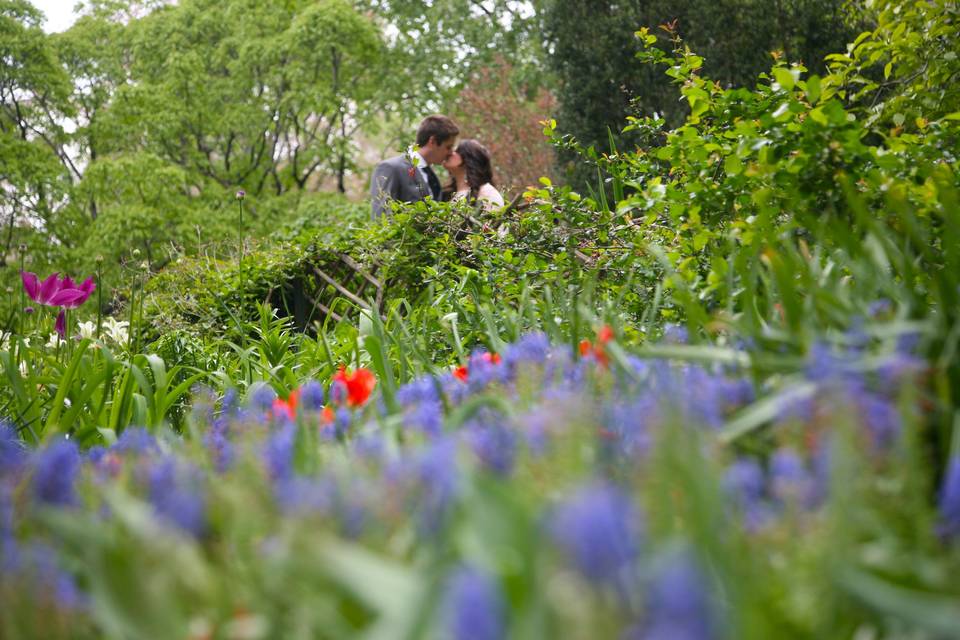 Central Park Wedding Ceremonies by Happenings