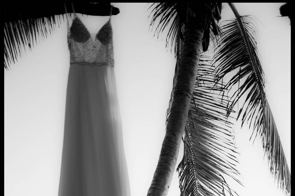 Beach Wedding