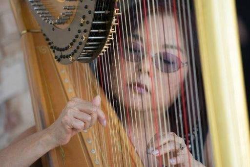 Harp Music By Vonette & Musical Networks