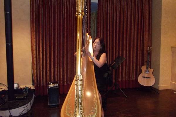 Harp Music By Vonette & Musical Networks