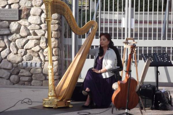 Harp Music By Vonette & Musical Networks