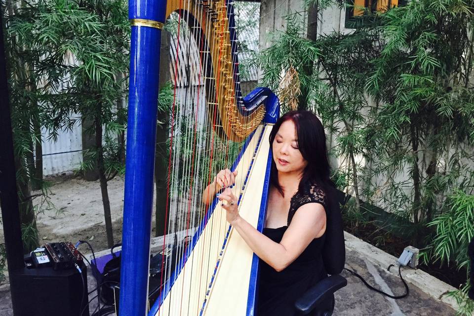 Harp Music By Vonette & Musical Networks