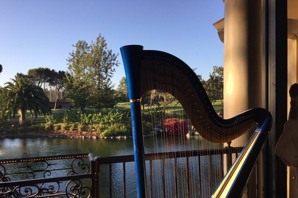 Harp Music By Vonette & Musical Networks