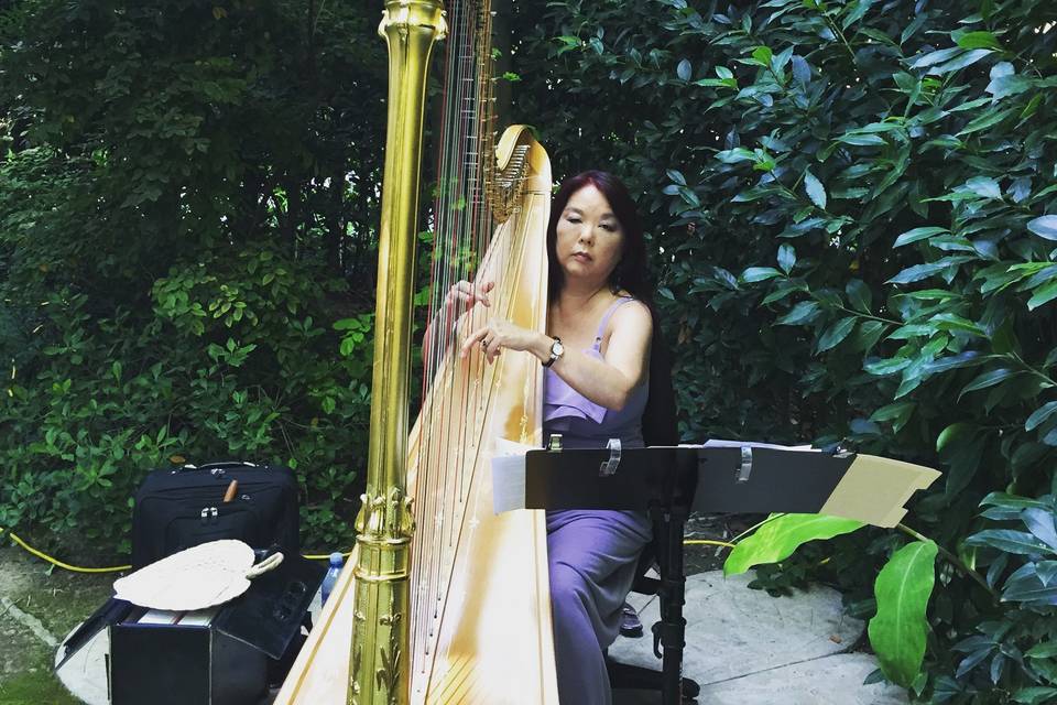 Harp Music By Vonette & Musical Networks