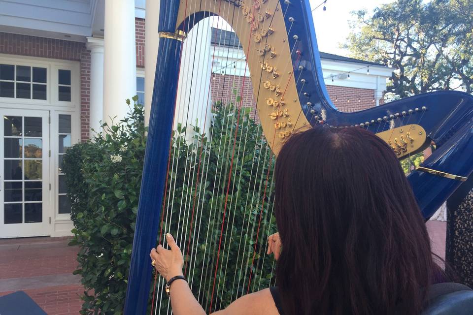 Blue harp