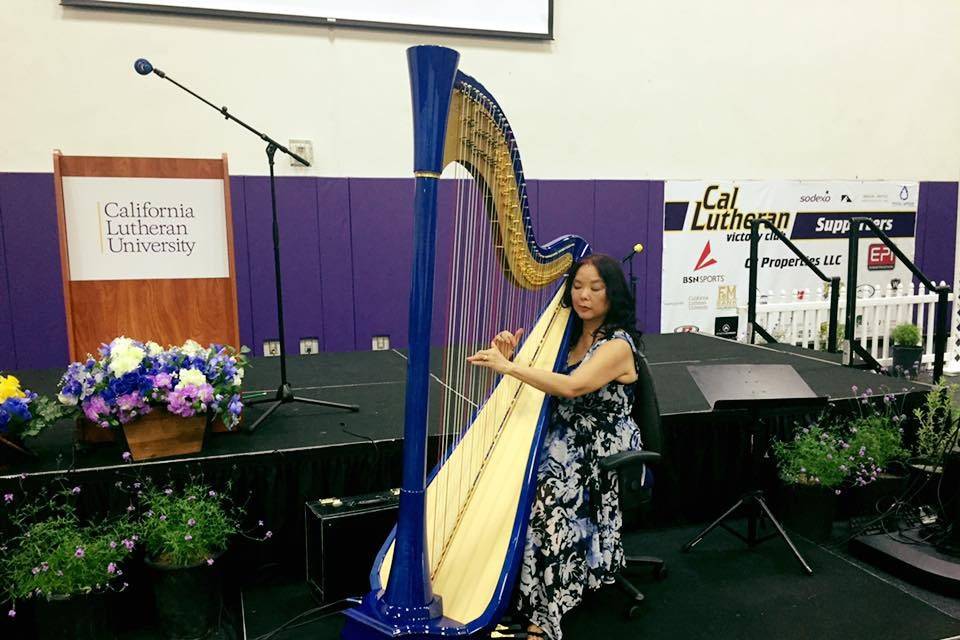 Harp Music By Vonette & Musical Networks