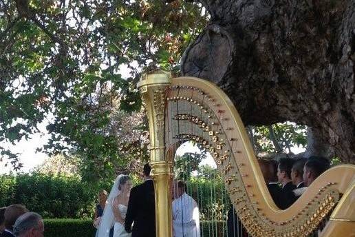 Harp Music By Vonette & Musical Networks