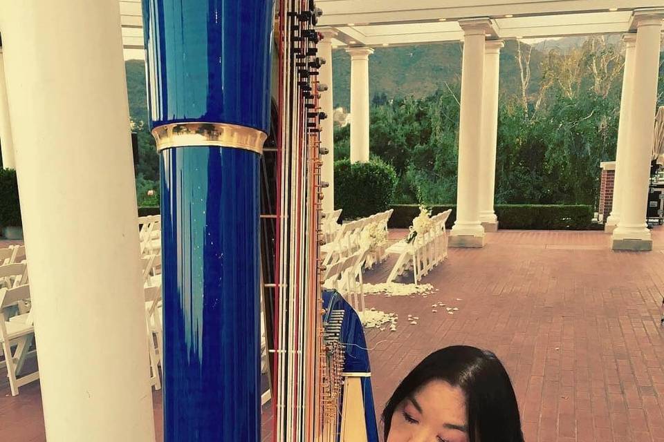 Harp Music By Vonette & Musical Networks