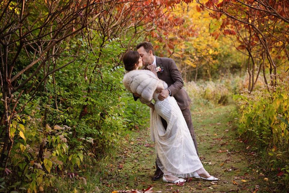 Fall colors