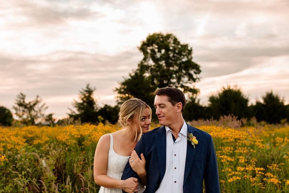 Flower fields