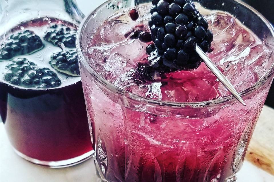 Blackberry Gin and Tonic