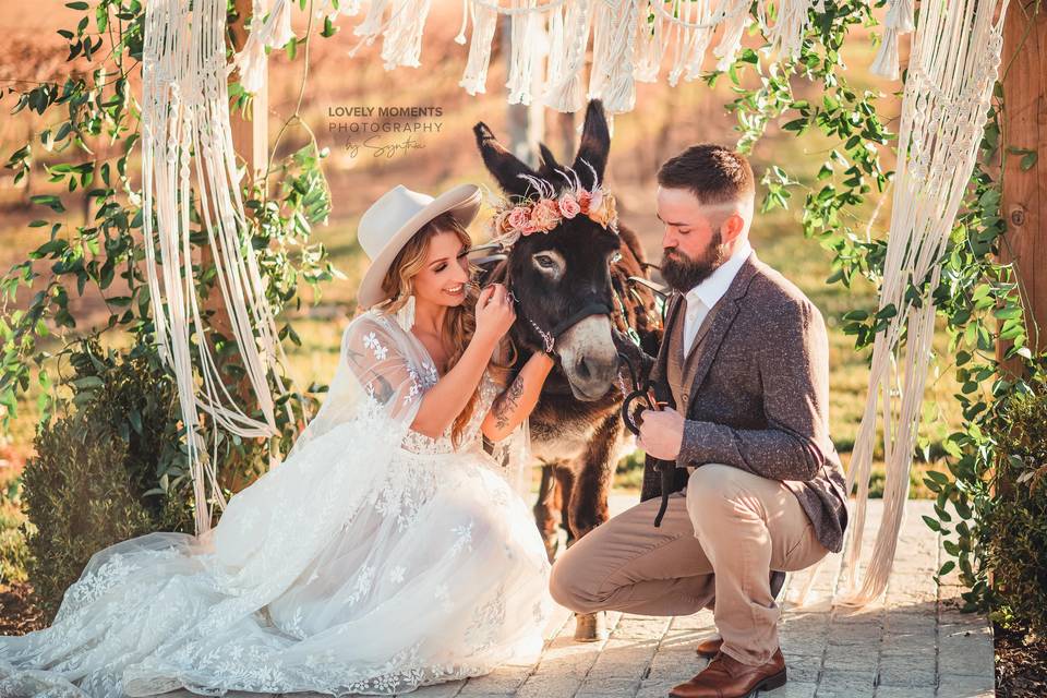Couple with Donkey