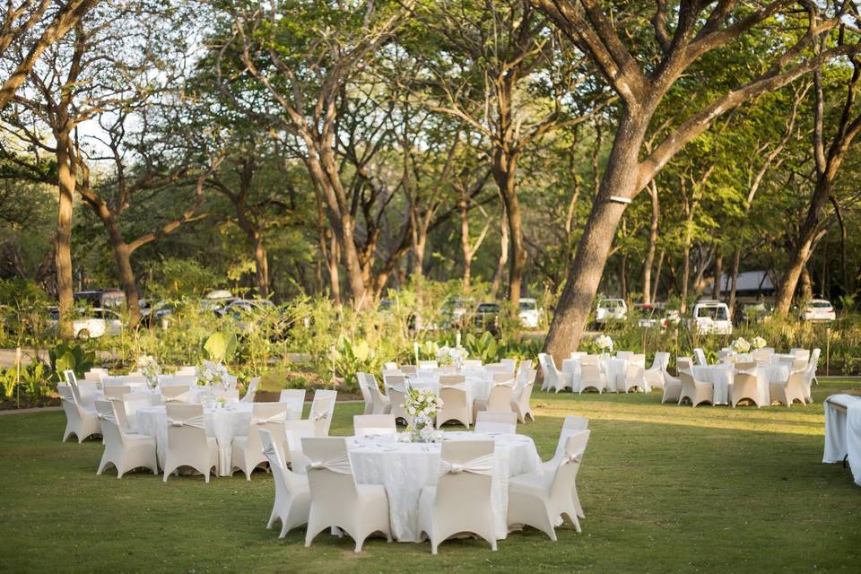 Outdoor venue setting