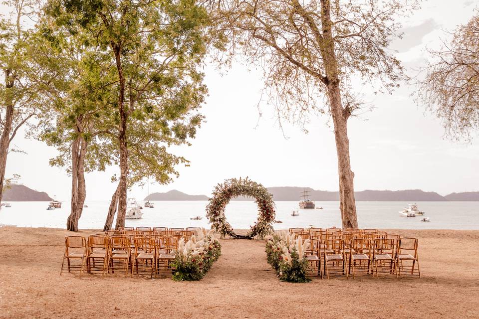 Beach Forest