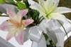 A gathering of Asiatic Lilies to decorate the chairs at a ceremony.