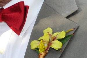 Groom's btonniere of green orchids.