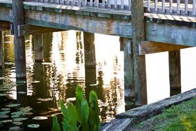 Bridge at Tampa Palms GCC