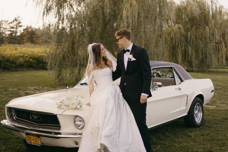 Willow Tree