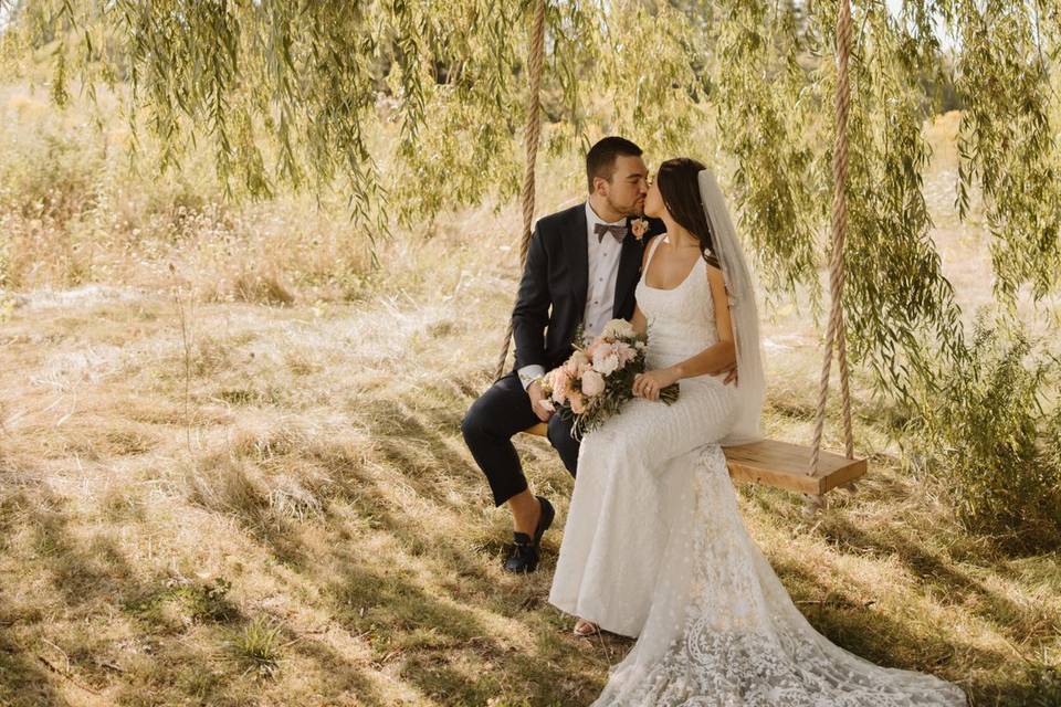 Willow Tree