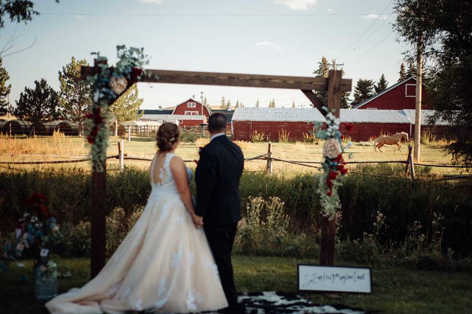 Wyoming Hereford Ranch