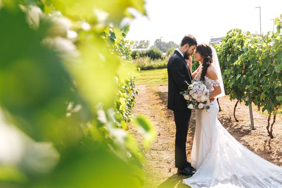 Vineyard Alone Time