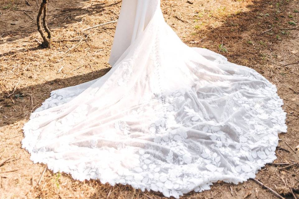 Bride Portrait  in the Vineyar