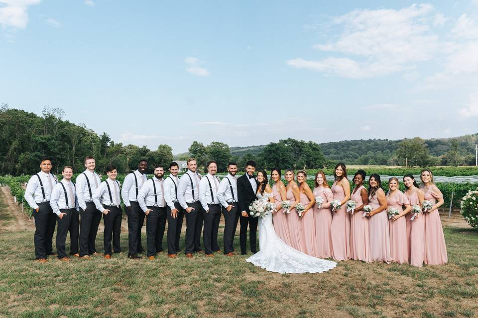 Large Wedding Parties