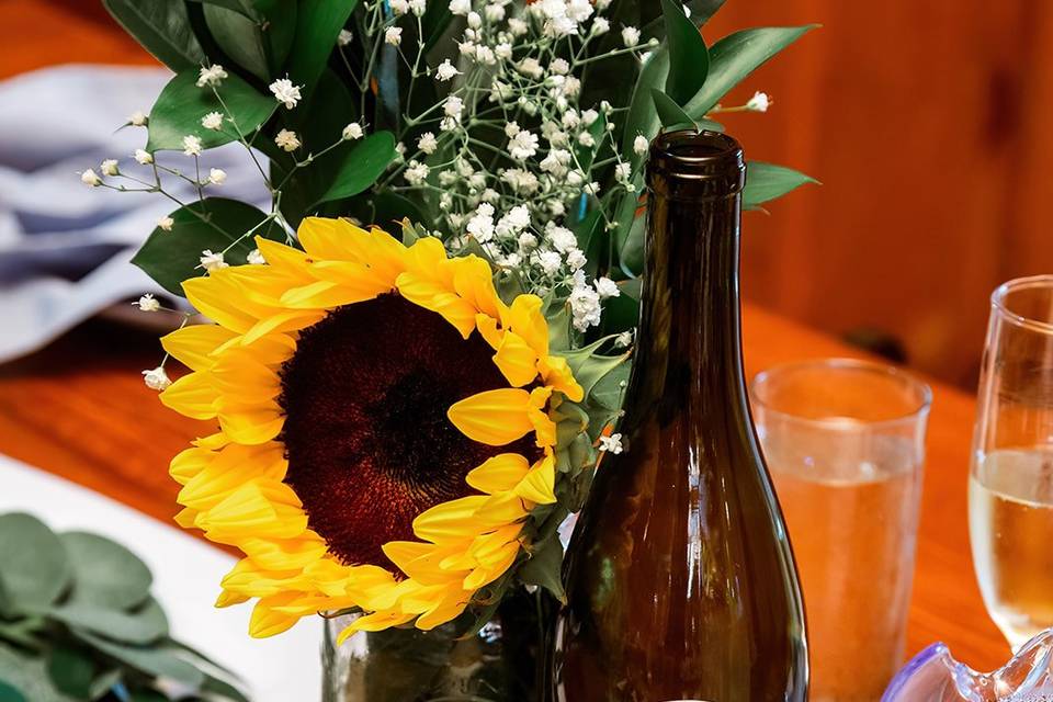 Sunflower Setup