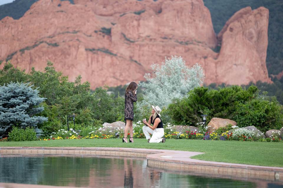 Engagement with a view