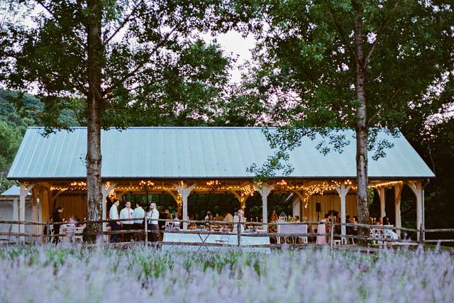 Orchard View Lavender Farm